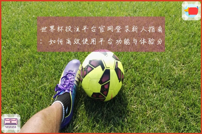 世界杯投注平台官网登录新人指南：如何高效使用平台功能与体验分享