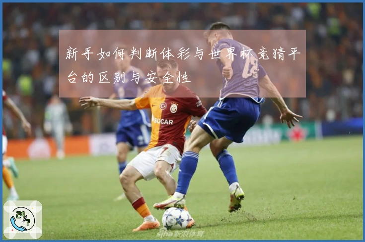 新手如何判断体彩与世界杯竞猜平台的区别与安全性