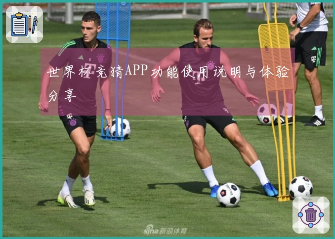 世界杯竞猜APP功能使用说明与体验分享
