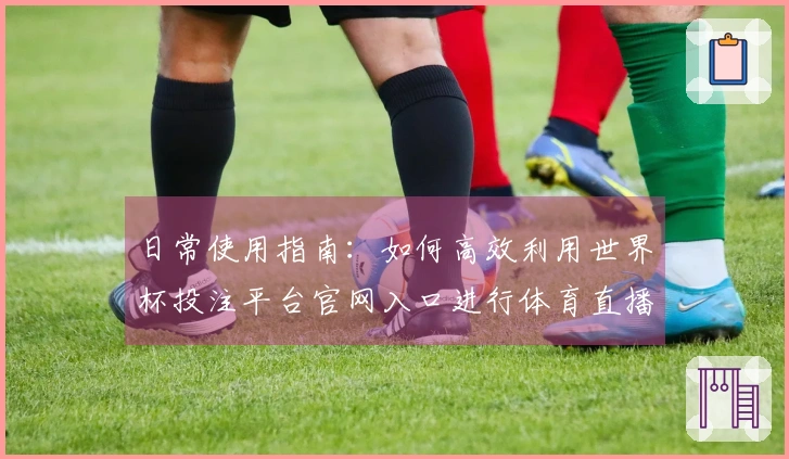 日常使用指南：如何高效利用世界杯投注平台官网入口进行体育直播观看