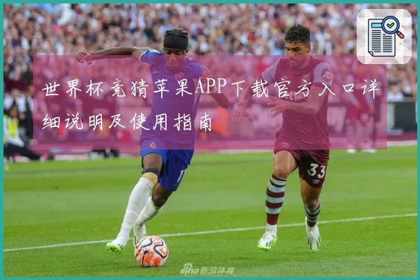 世界杯竞猜苹果APP下载官方入口详细说明及使用指南