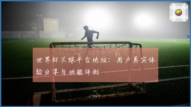世界杯买球平台地址：用户真实体验分享与功能评测