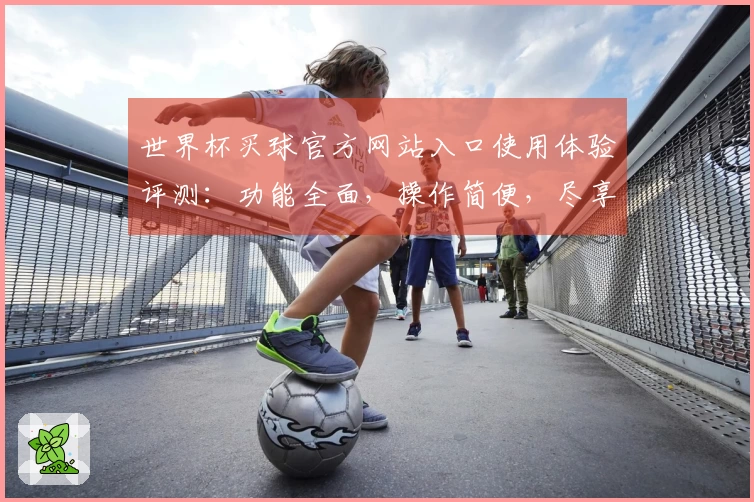 世界杯买球官方网站入口使用体验评测：功能全面，操作简便，尽享赛事乐趣