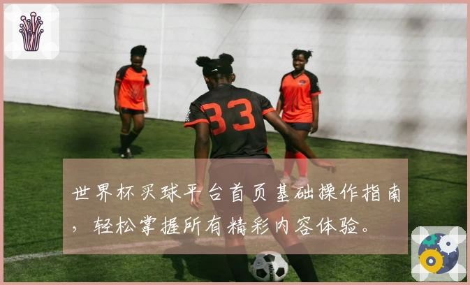 世界杯买球平台首页基础操作指南，轻松掌握所有精彩内容体验。