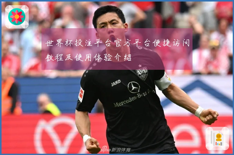 世界杯投注平台官方平台便捷访问教程及使用体验介绍