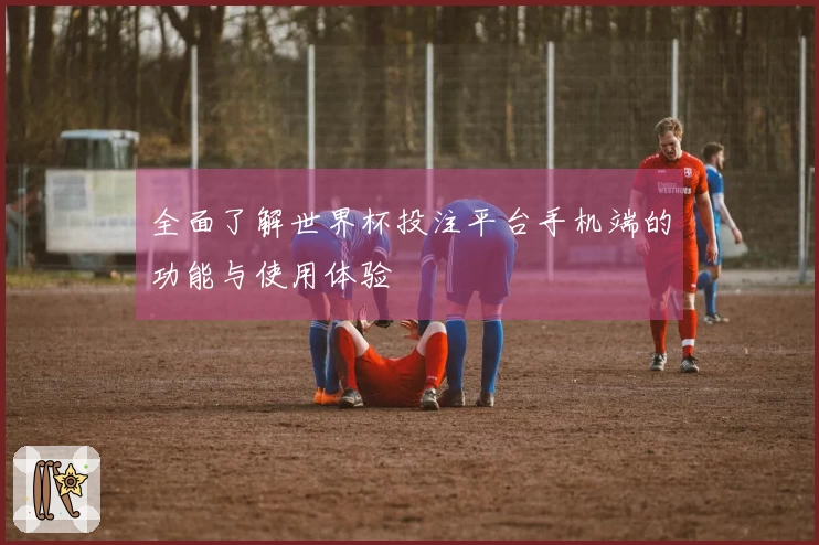 全面了解世界杯投注平台手机端的功能与使用体验