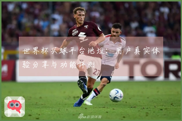 世界杯买球平台地址：用户真实体验分享与功能评测