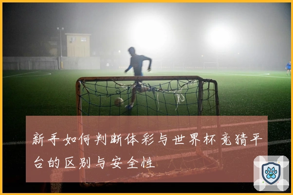 新手如何判断体彩与世界杯竞猜平台的区别与安全性