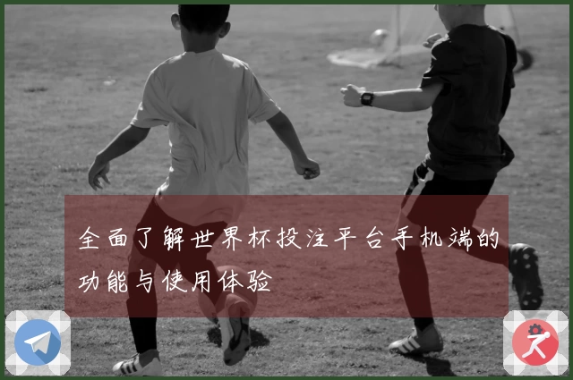 全面了解世界杯投注平台手机端的功能与使用体验