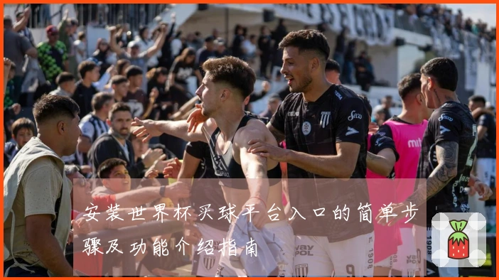 安装世界杯买球平台入口的简单步骤及功能介绍指南